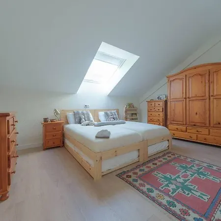 公寓 El Ventanal De Collarada 比利亚努亚