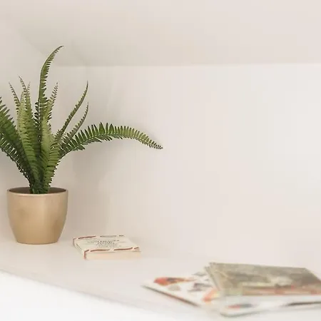 公寓 El Ventanal De Collarada