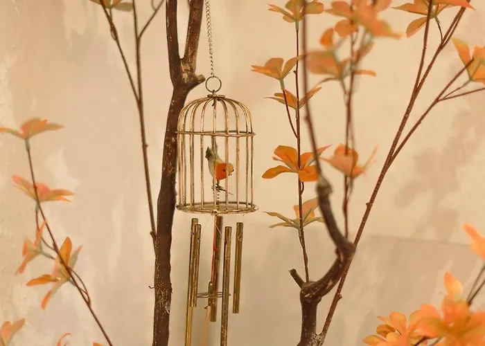 El Ventanal De Collarada